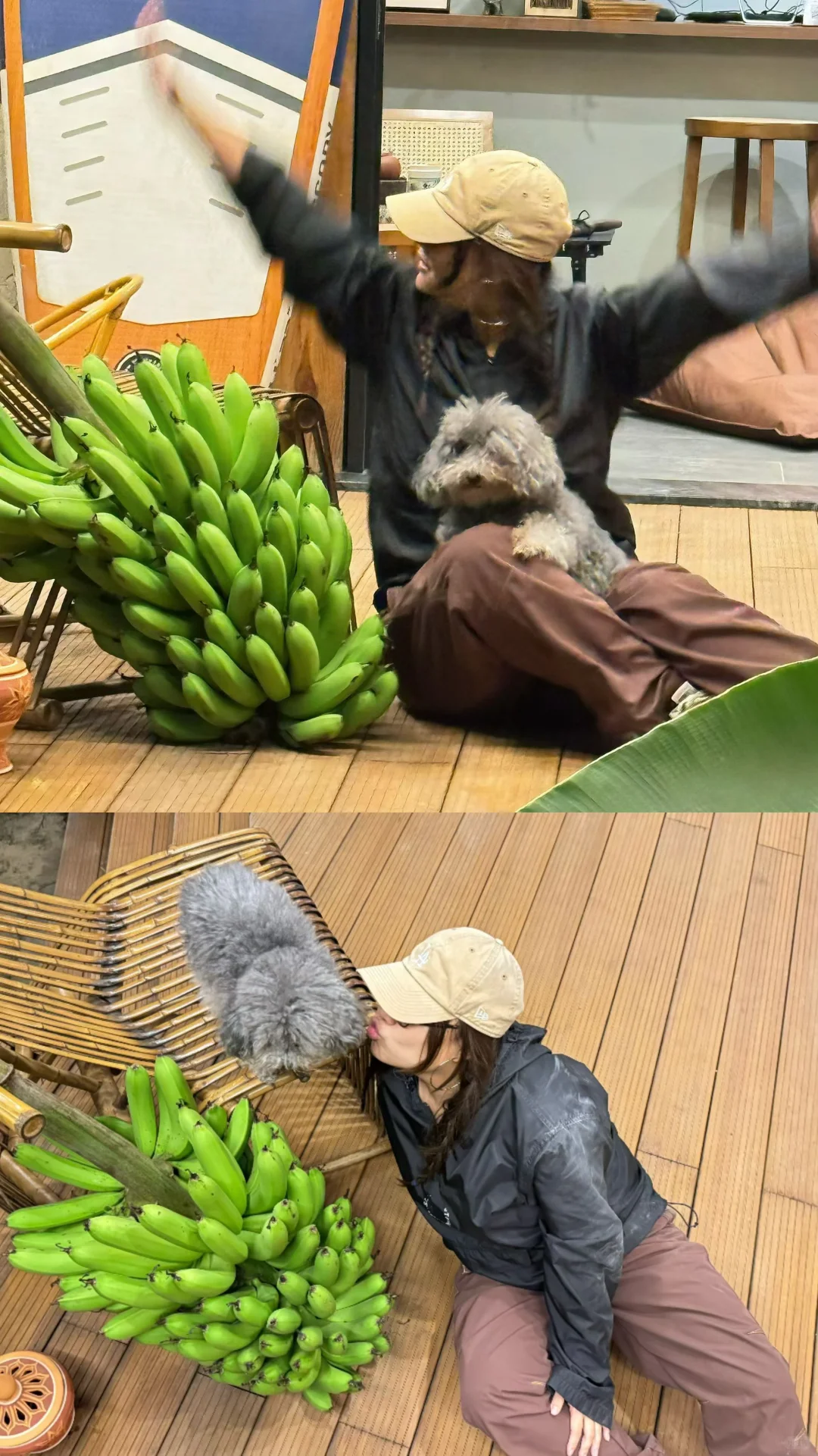 plog｜幸福寨屋 收获人生第一颗自种香蕉?