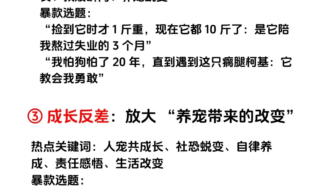 下一个风口就是用情绪化做宠物