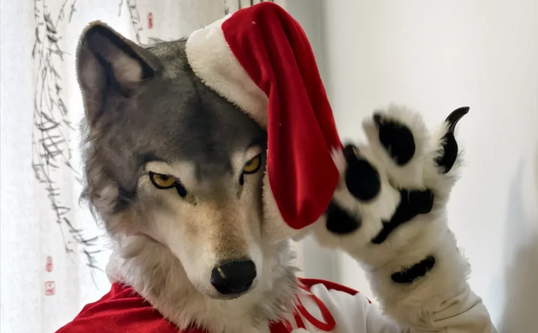 人，你好，圣诞快乐