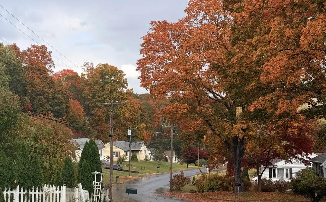 迪拜2025年1月份展会