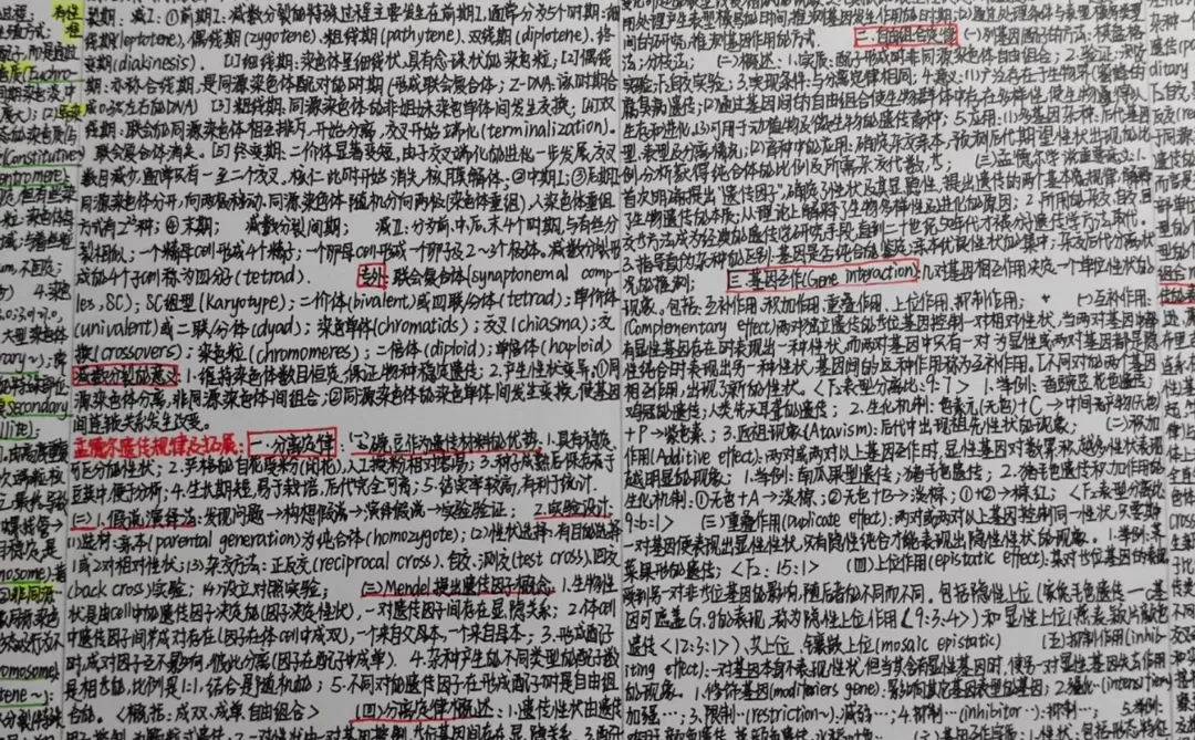 手搓的汉谟拉比法典（合集版