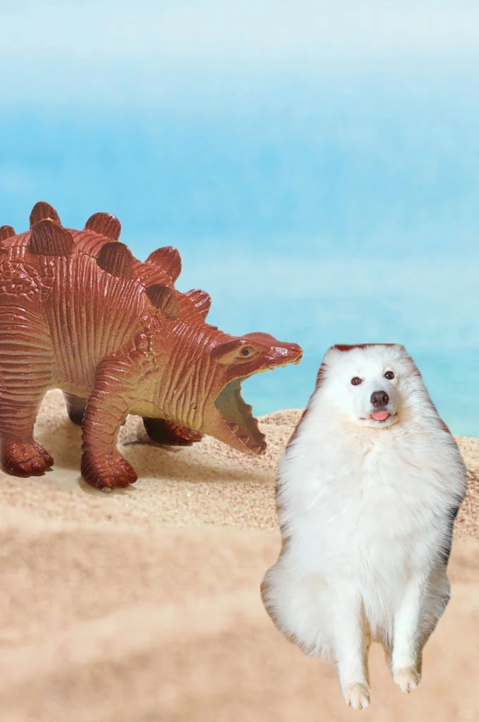 我那两个宝宝耶萨摩耶感受到了小狗的开心