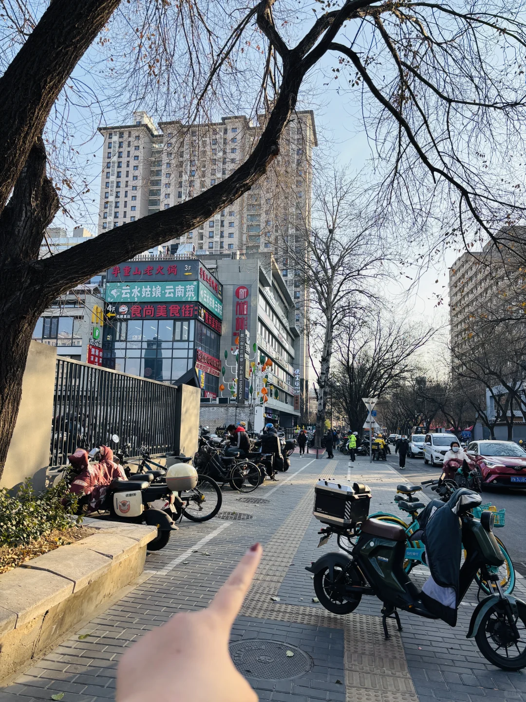 北京超出片的粉色圣诞树?（附地址➕出片技巧