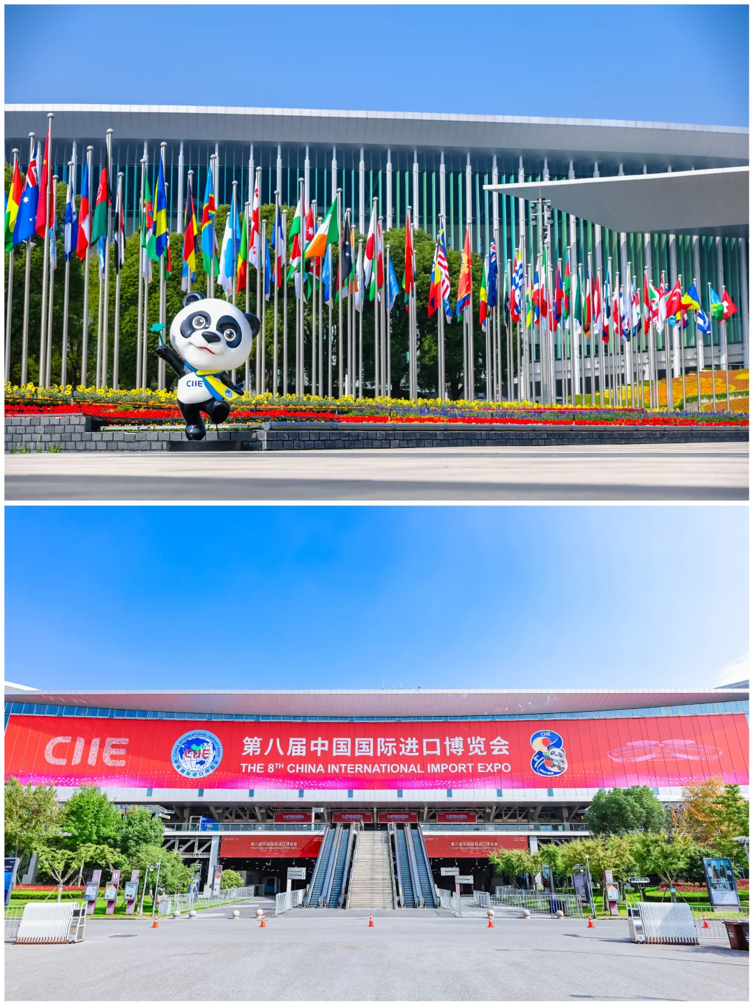 品牌活动分享丨「2025进博会美敦力展台」