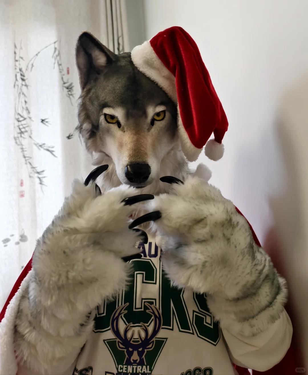 人，你好，圣诞快乐