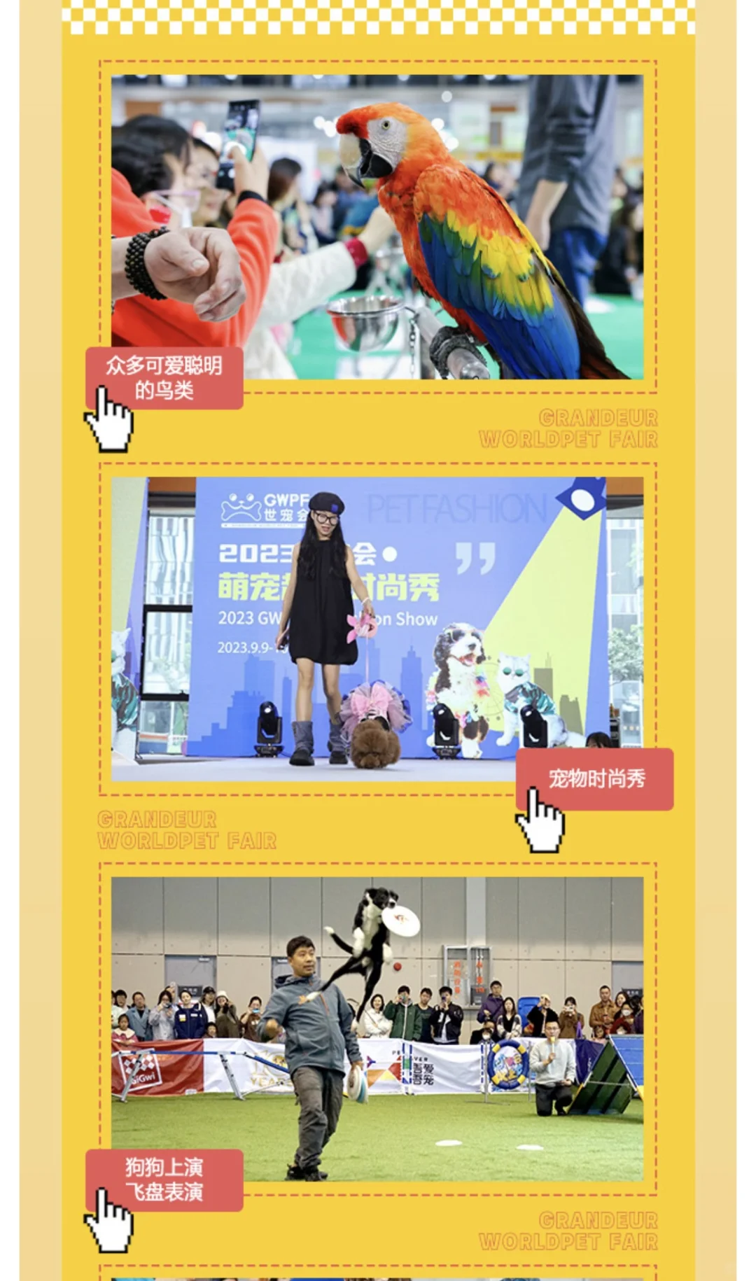 2025鸿威•厦门宠物博览会 厦门世宠展票 14