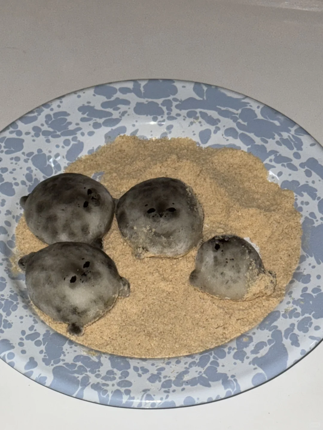 审美积食｜海豹黄豆粉糯米糍