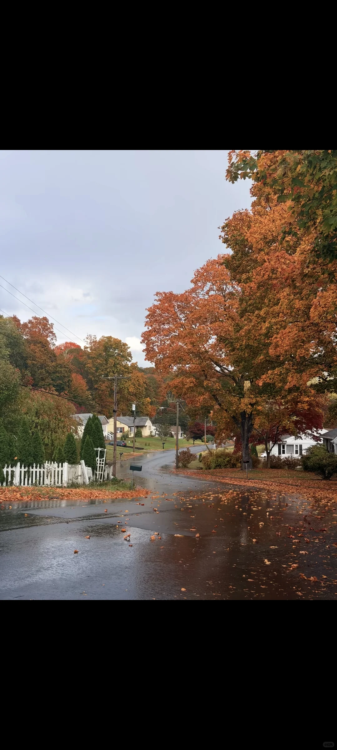 迪拜2025年1月份展会