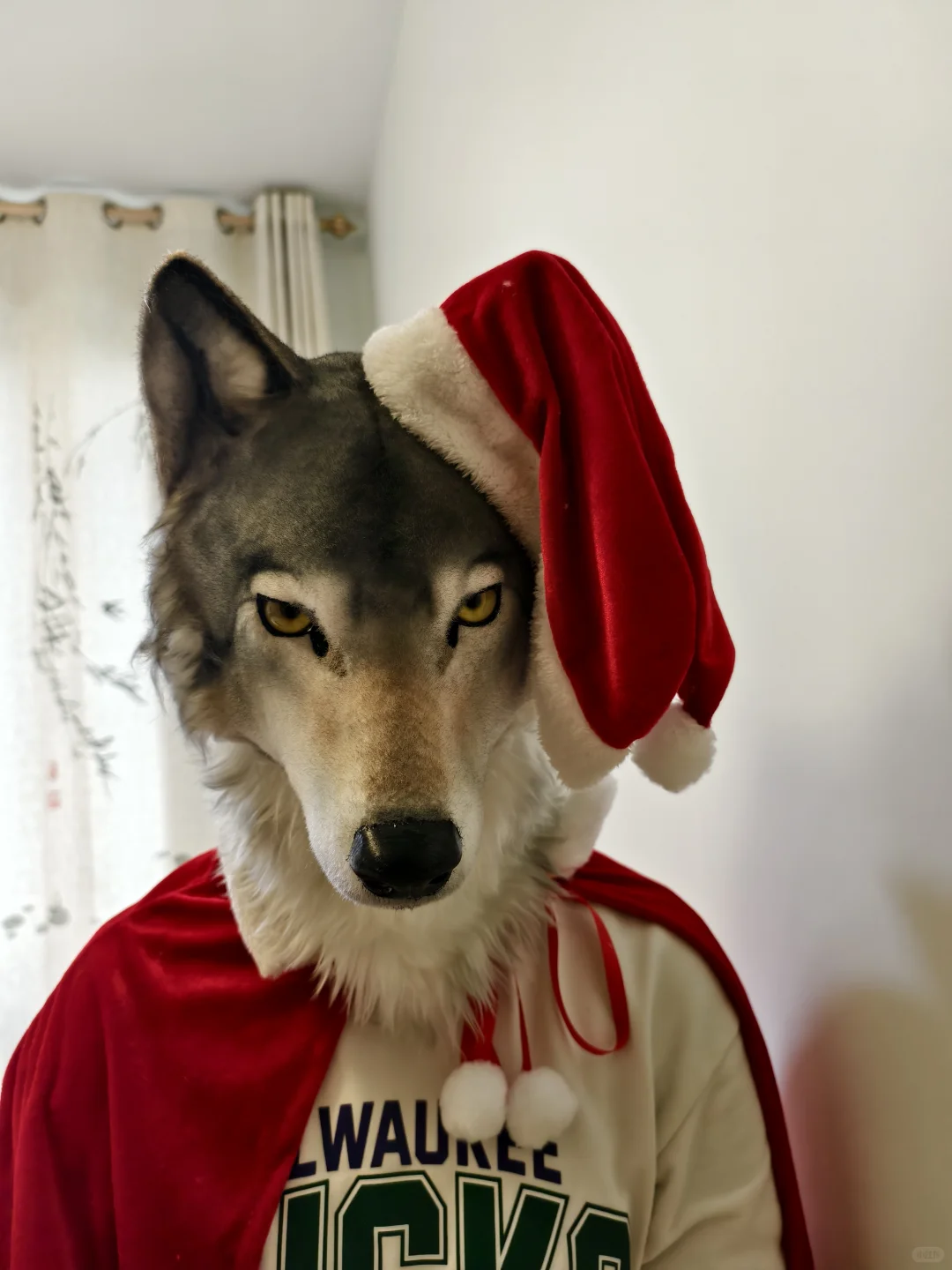 人，你好，圣诞快乐