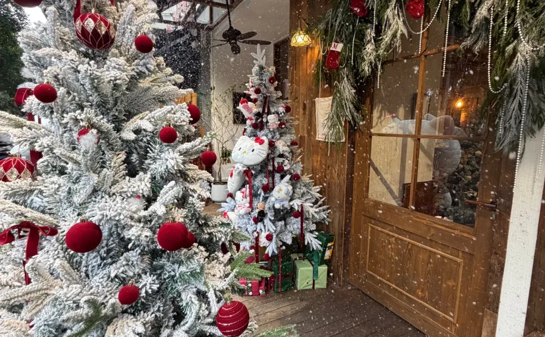 南宁！！新的…值得来二刷的宝藏小店?！！！