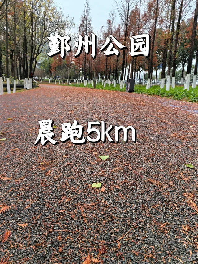 冬日限定浪漫！在鄞州公园晨跑5公里~