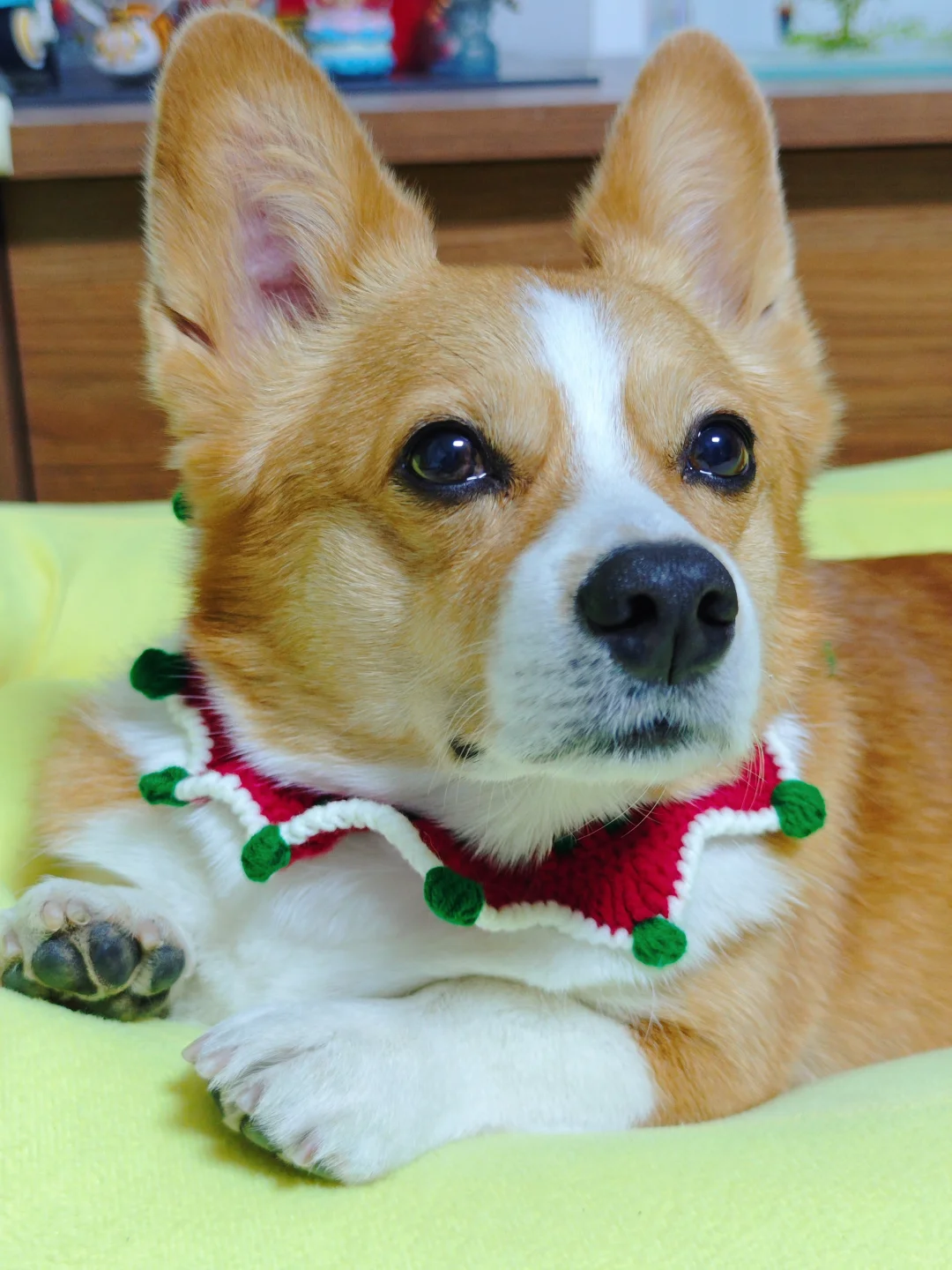 着急忙慌送出圣诞礼物