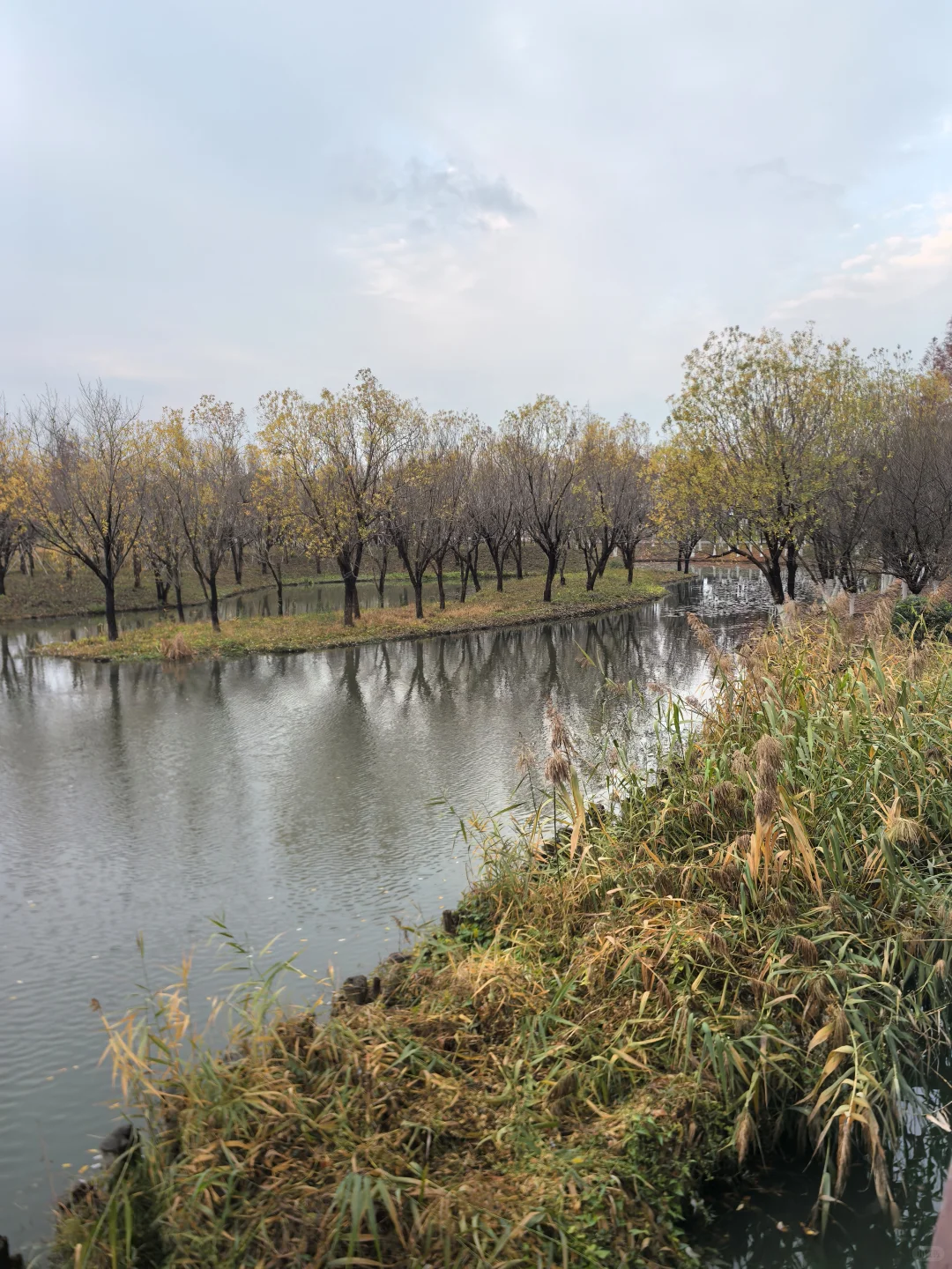 冬日限定浪漫！在鄞州公园晨跑5公里~