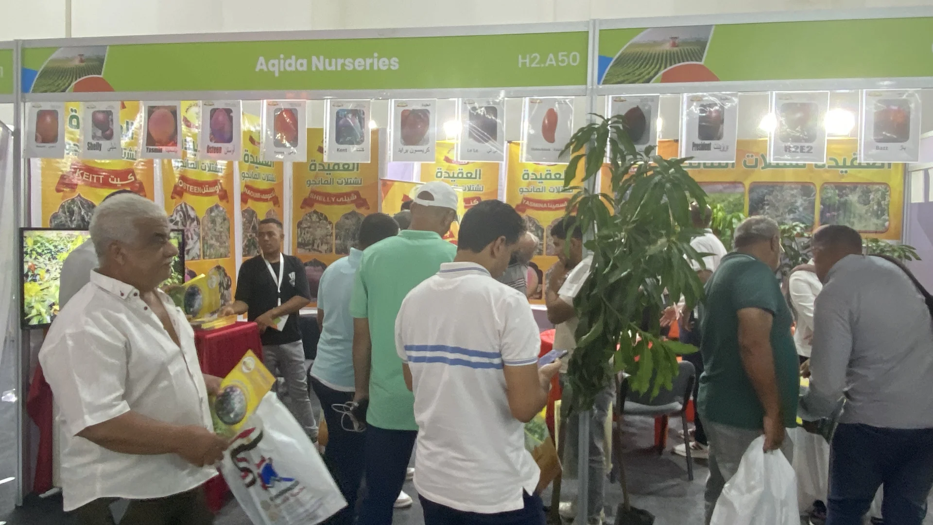 埃及农业展览会