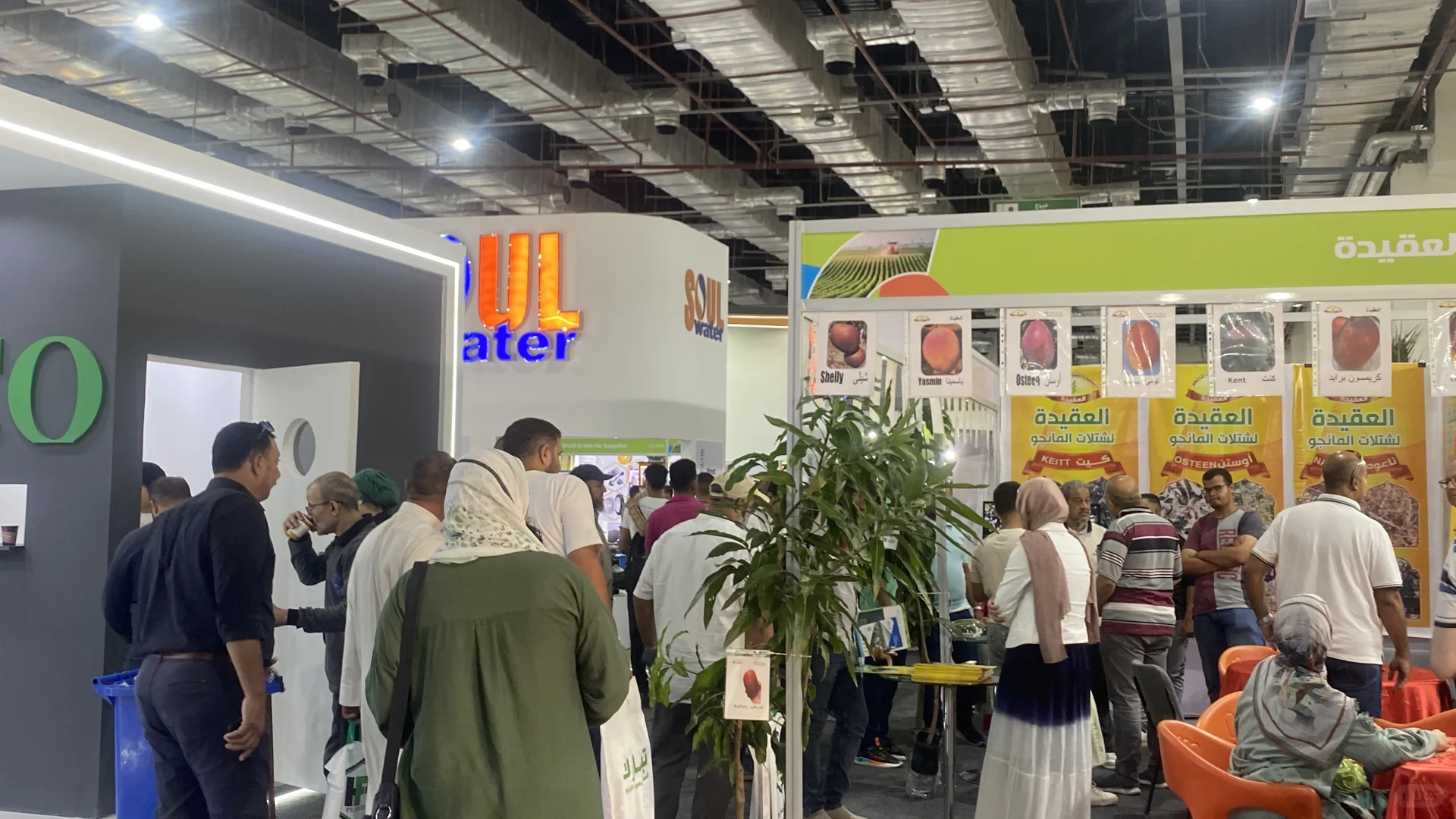 埃及农业展览会