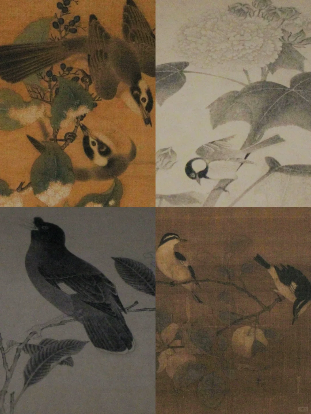 迄今为止,我看过最震撼的展出现了~