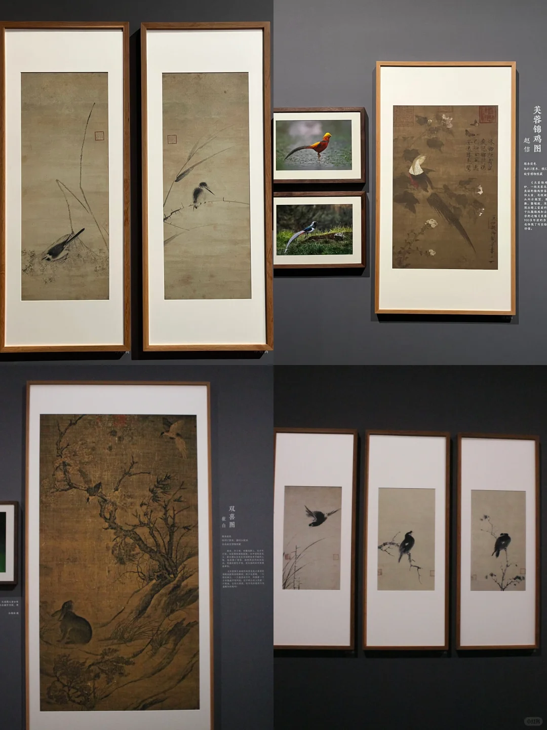 迄今为止,我看过最震撼的展出现了~