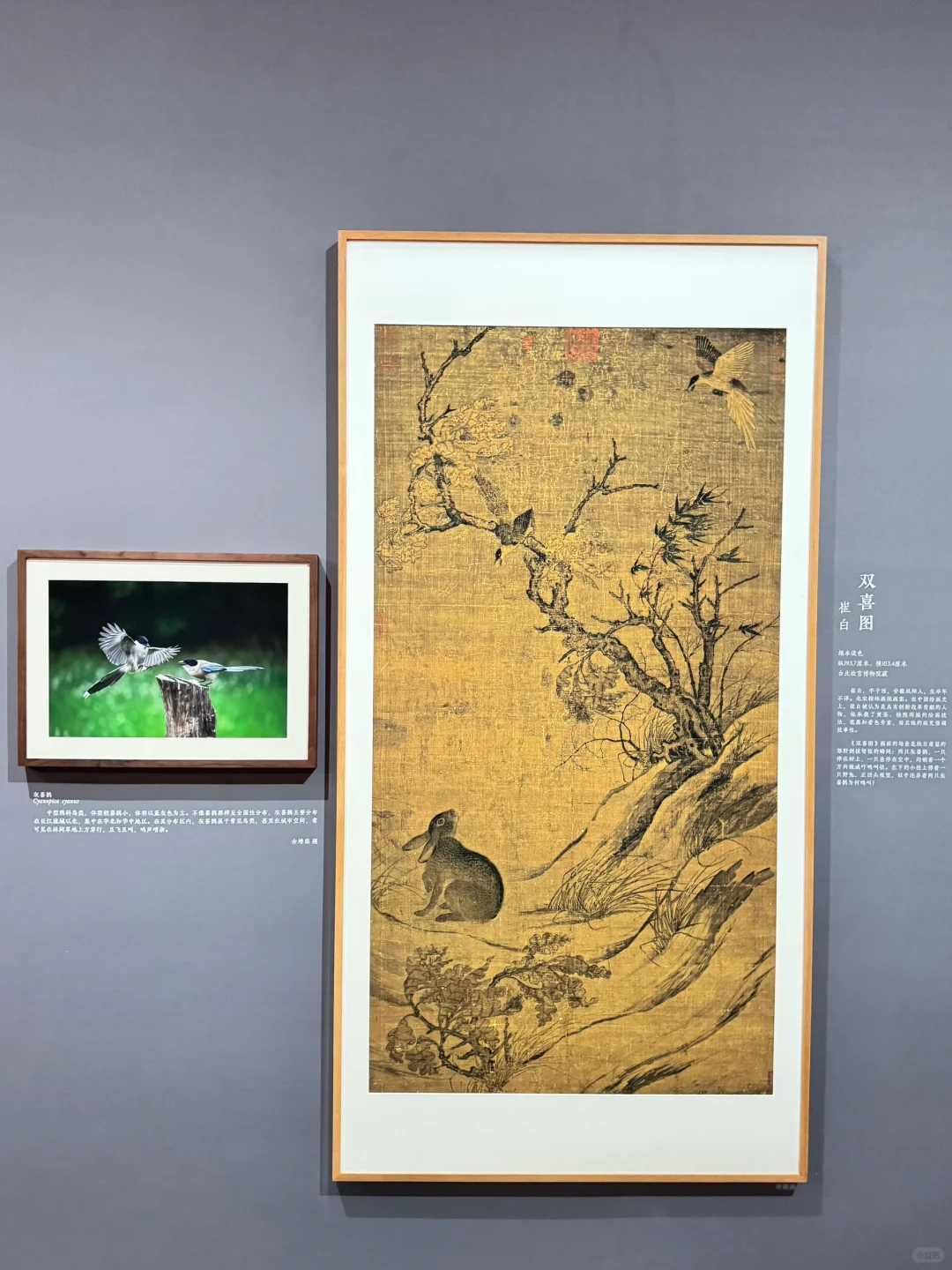 迄今为止,我看过最震撼的展出现了~