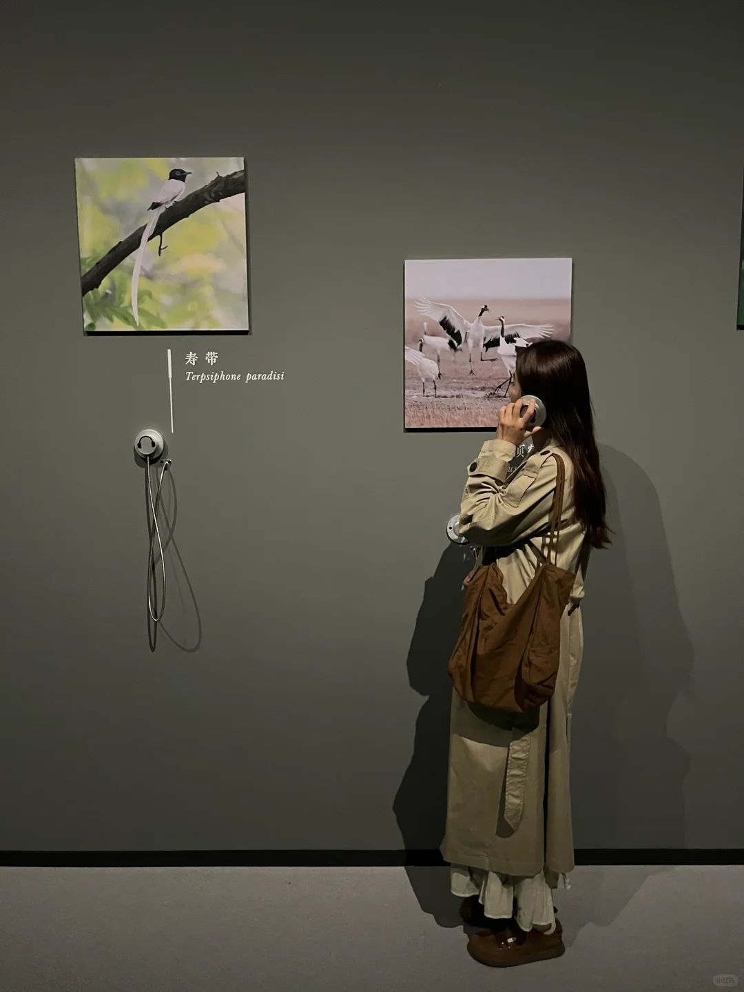 迄今为止,我看过最震撼的展出现了~