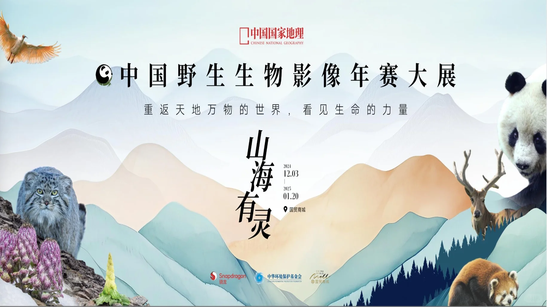 北京11月底12月初17场新展,优质展览