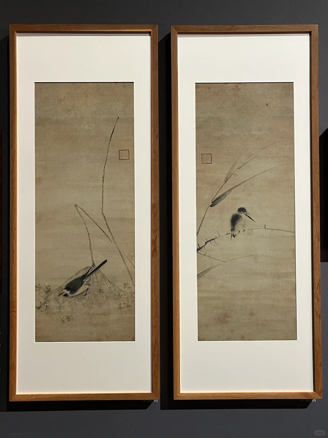 迄今为止,我看过最震撼的展出现了~