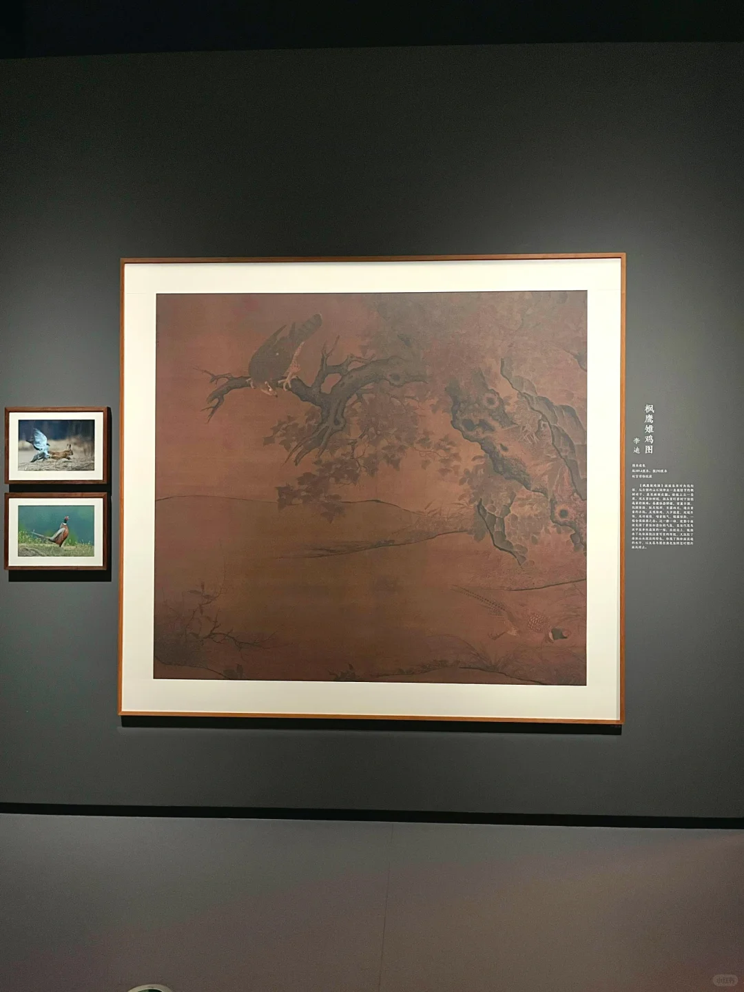 迄今为止,我看过最震撼的展出现了~