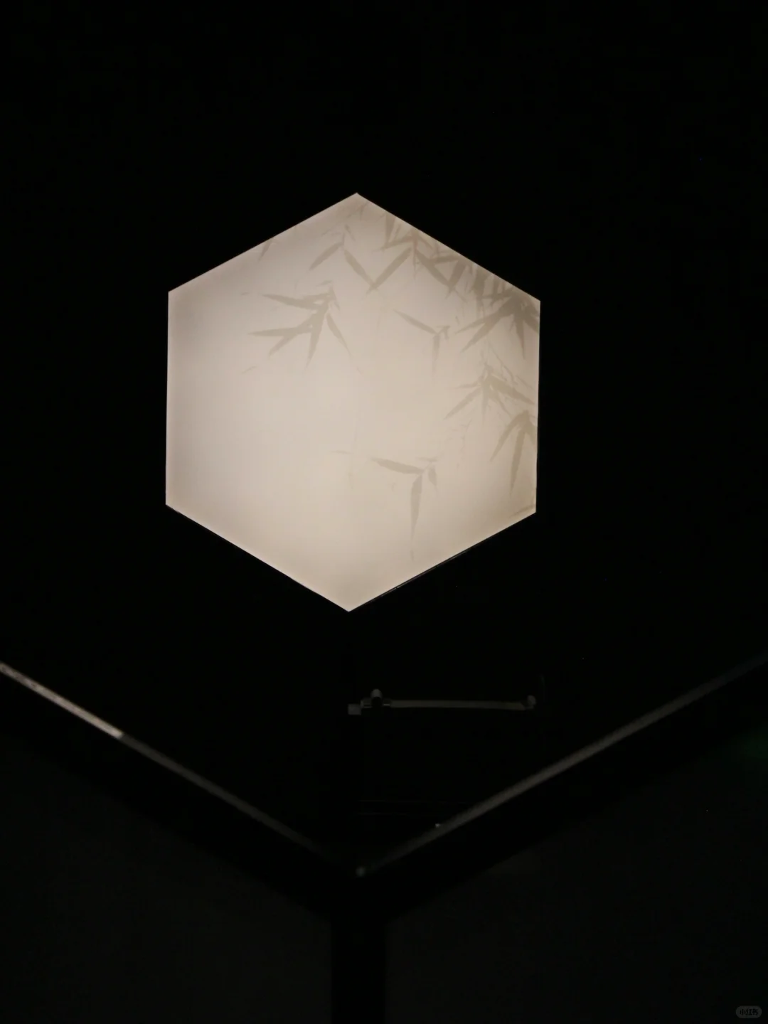 迄今为止,我看过最震撼的展出现了~