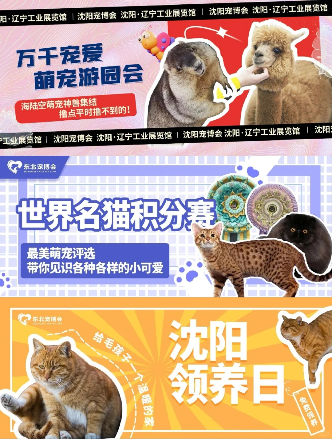 沈阳十月份的大型展会一览!