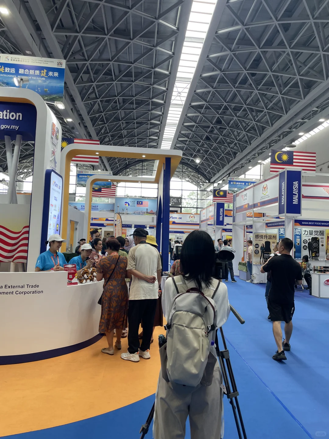 2024东盟博览会,来云逛逛?