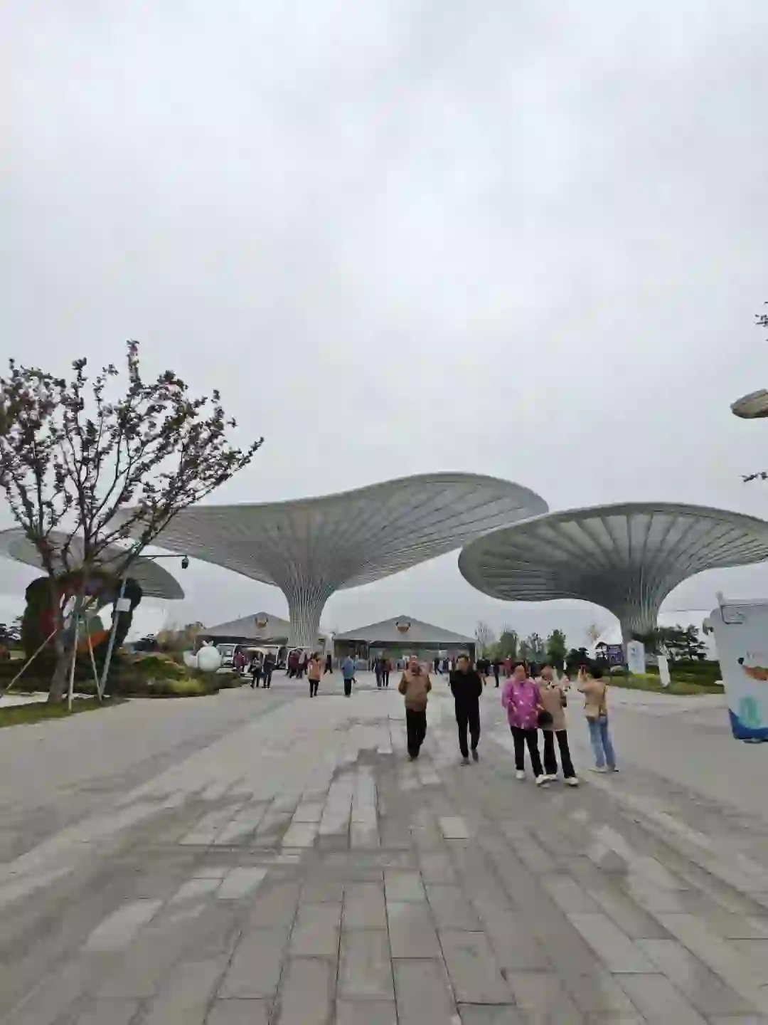 成都11月份园艺博览会