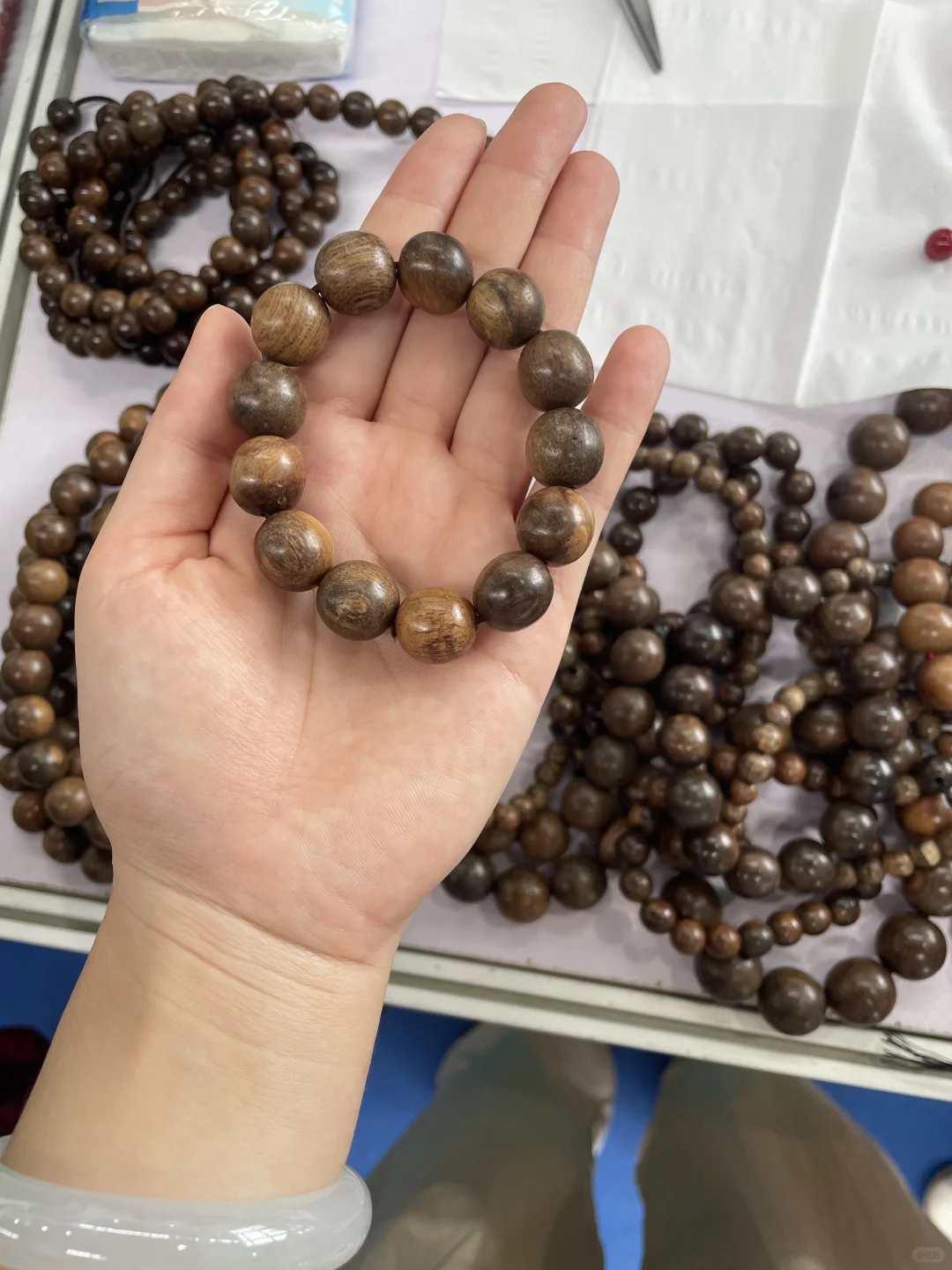 2024东盟博览会,来云逛逛?