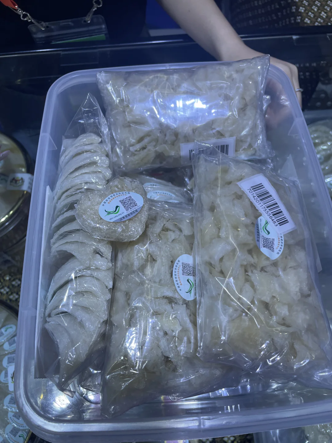 2024东盟博览会,来云逛逛?