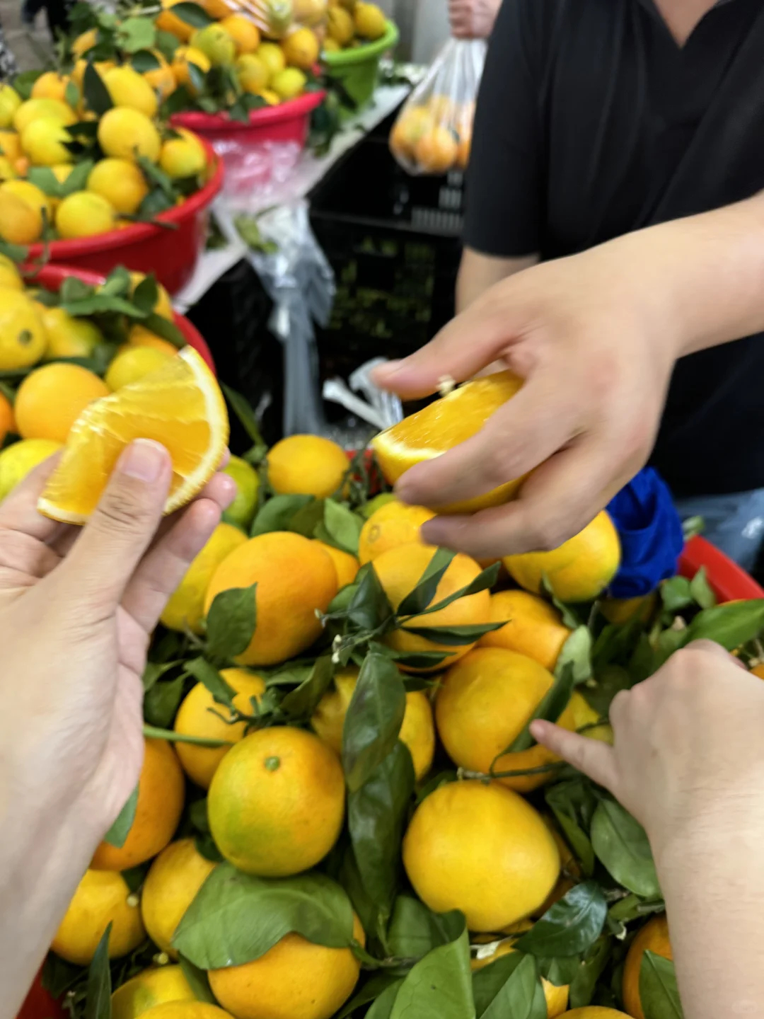 11.16日就在长沙,不允许有人饿着离开农博会