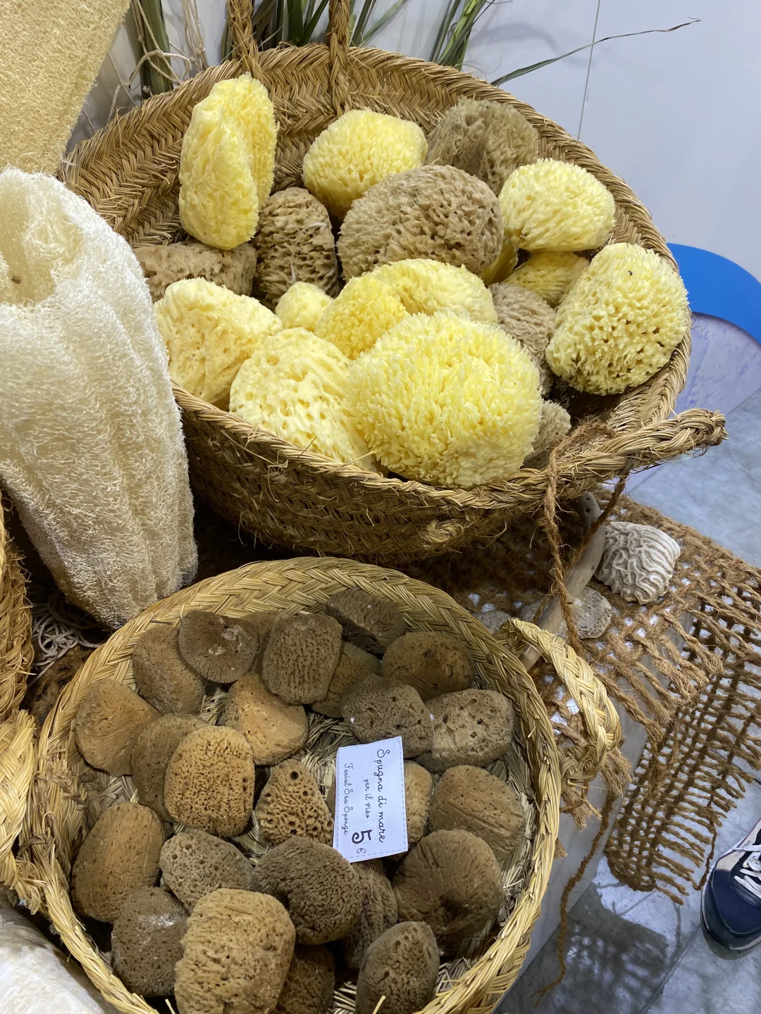 米兰这周必去的万国博览会美食节 免费入场