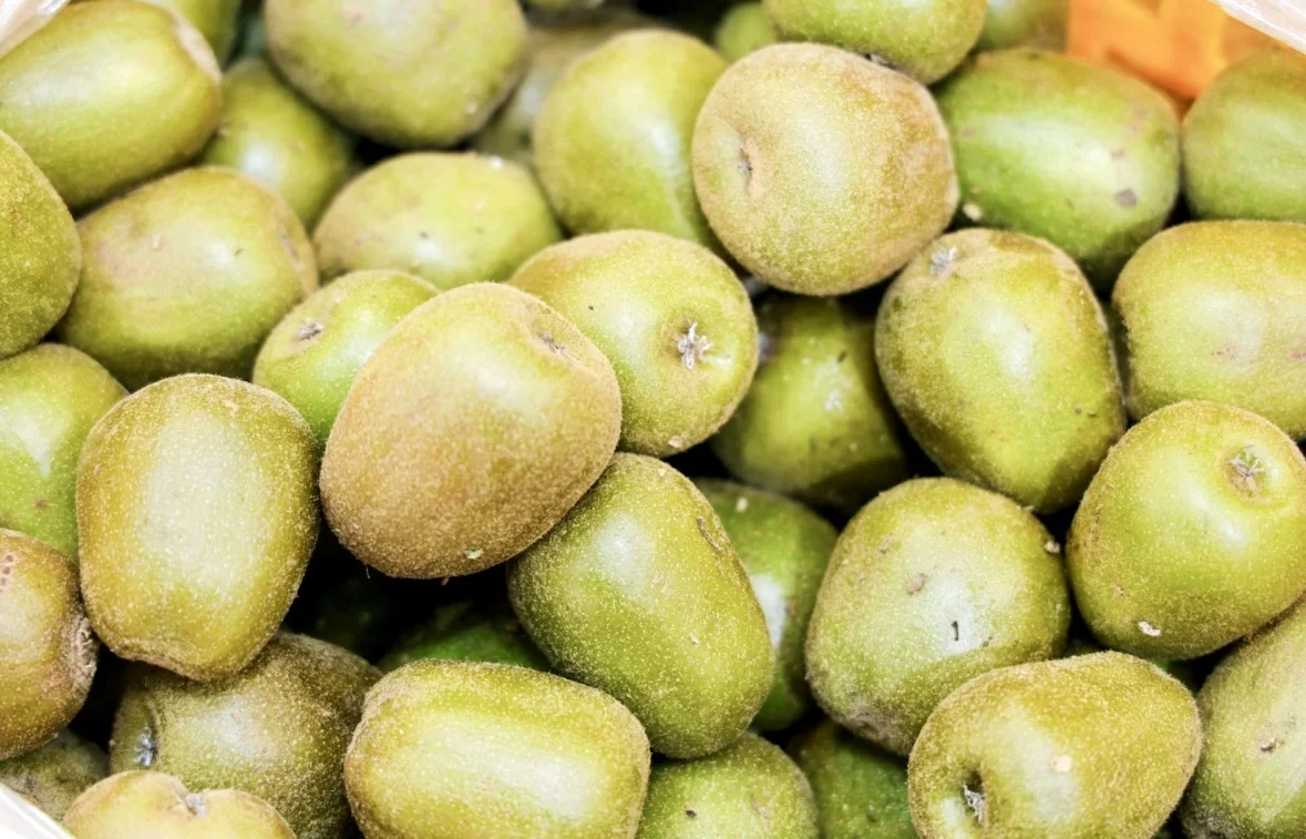 终于等到啦 2024浙江农业博览会!!