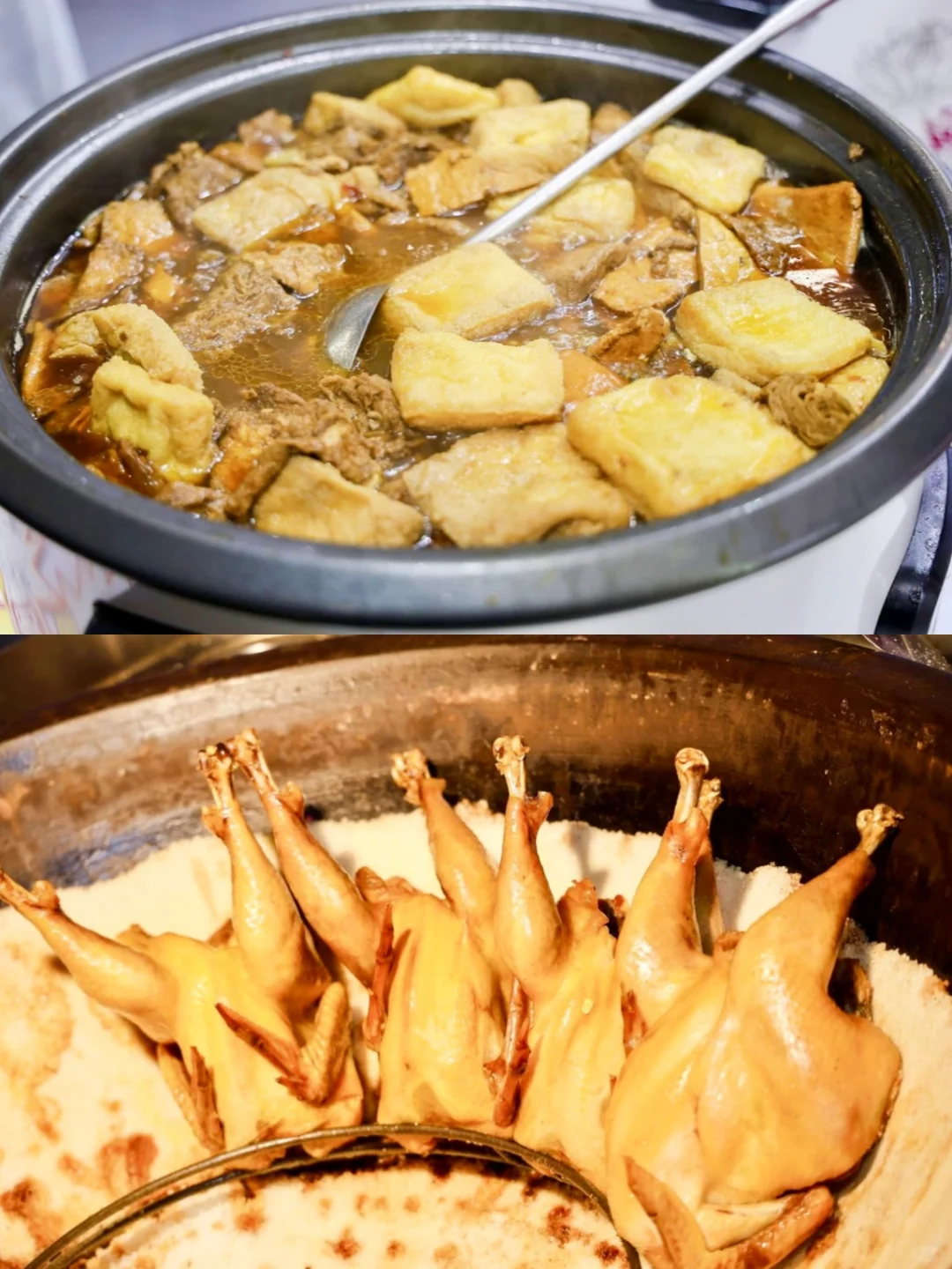 终于等到啦 2024浙江农业博览会!!