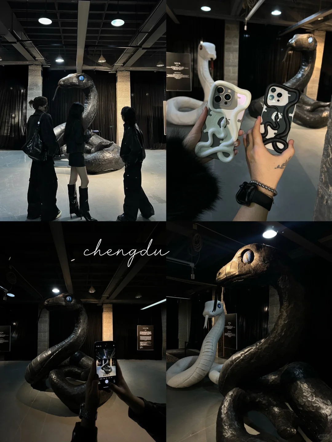 成都新展！暗黑系蛇年展?我怀疑有人会喜欢！