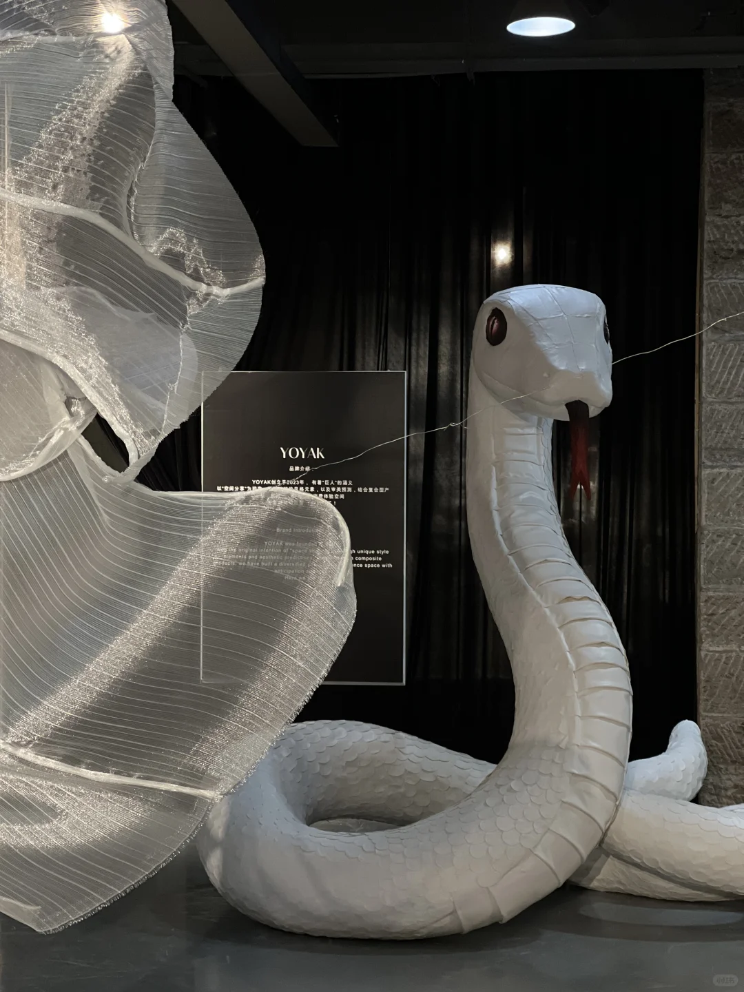 成都新展！暗黑系蛇年展?我怀疑有人会喜欢！