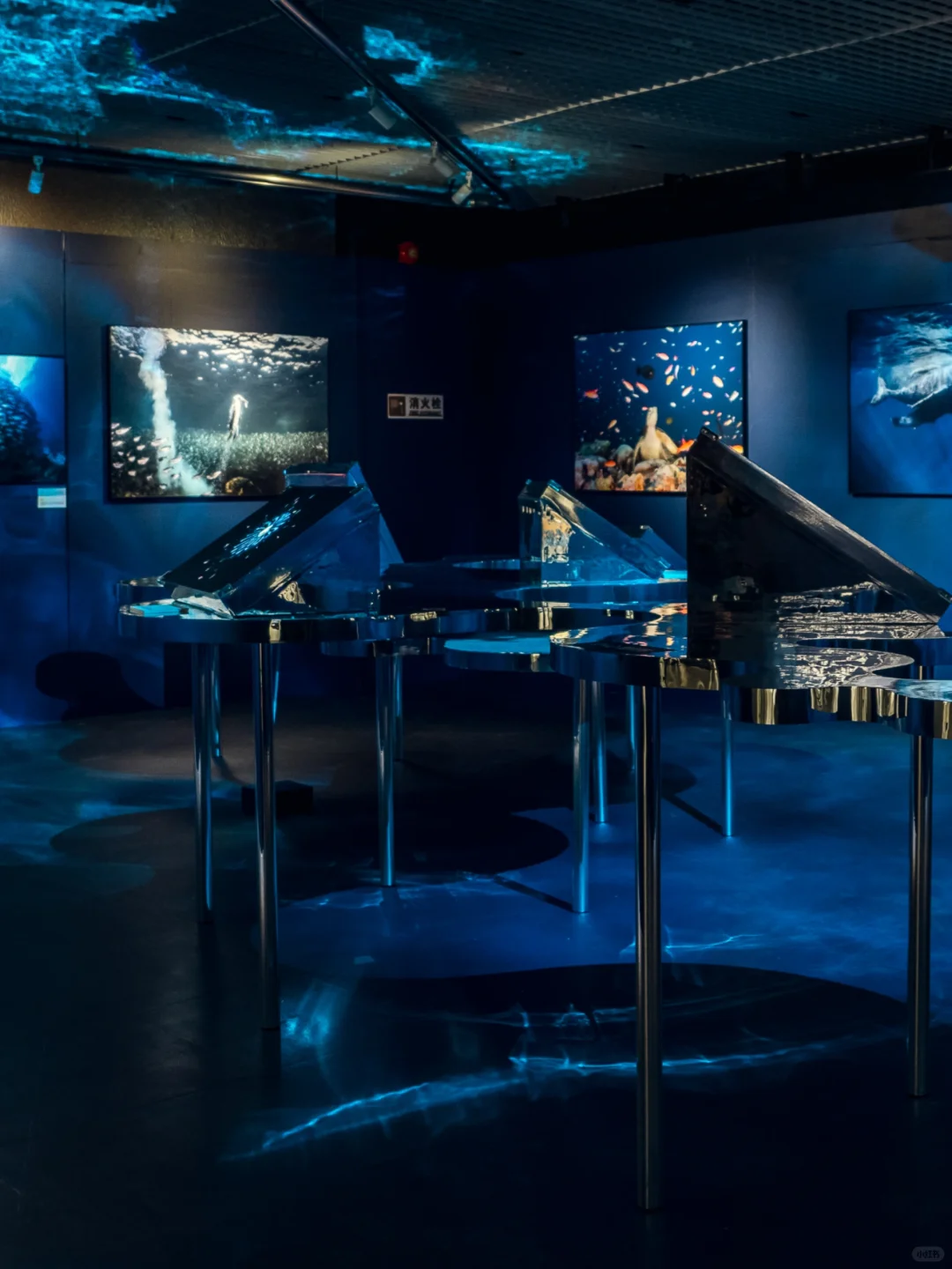 ?北京❗️年末重磅展开展了‼️还免费