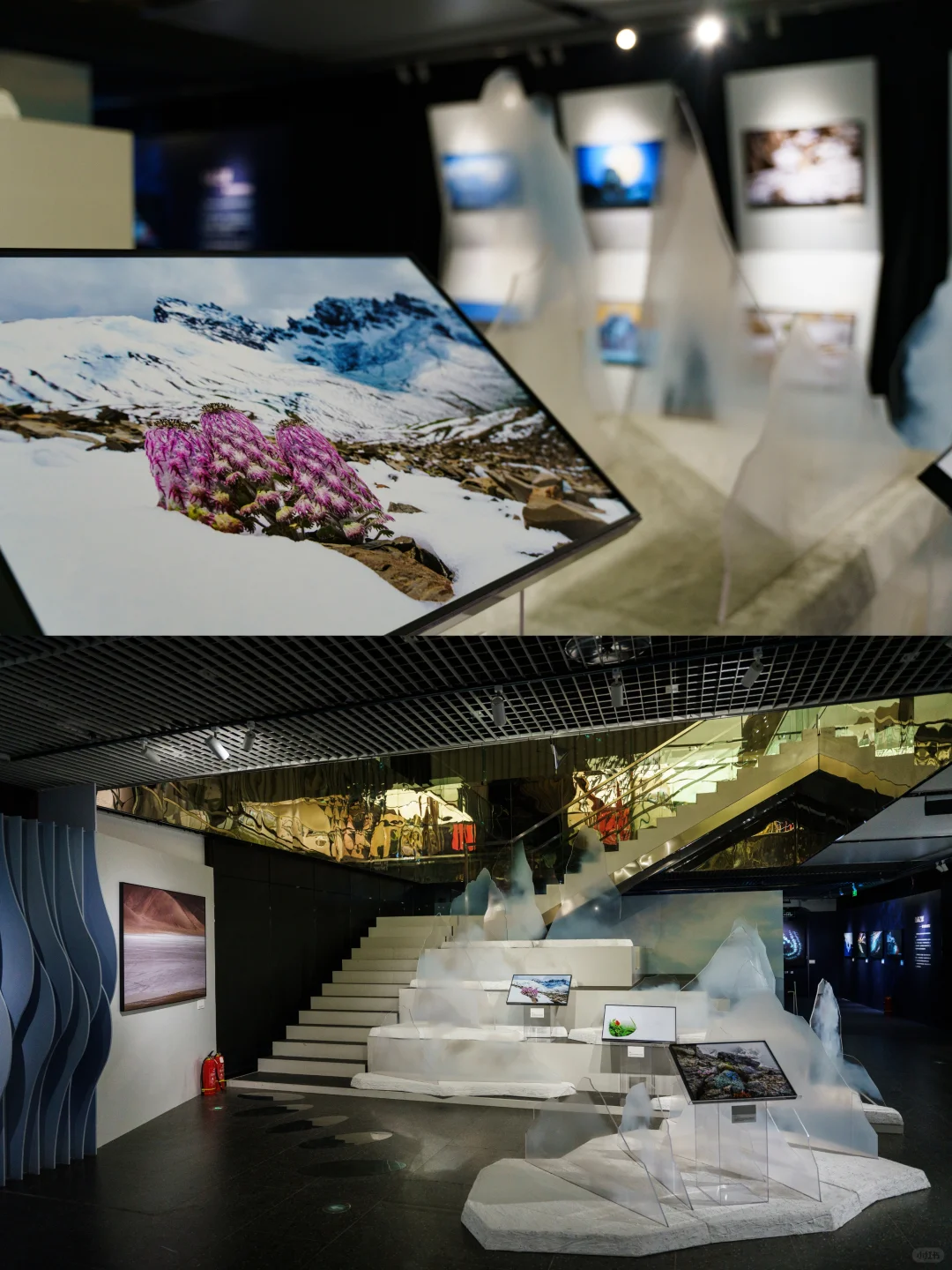 ?北京❗️年末重磅展开展了‼️还免费