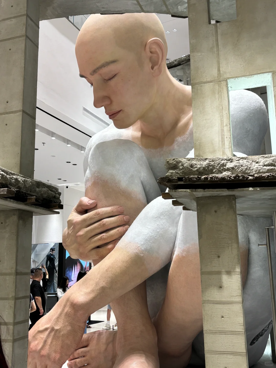 ?深圳巨人展震撼超乎想象?