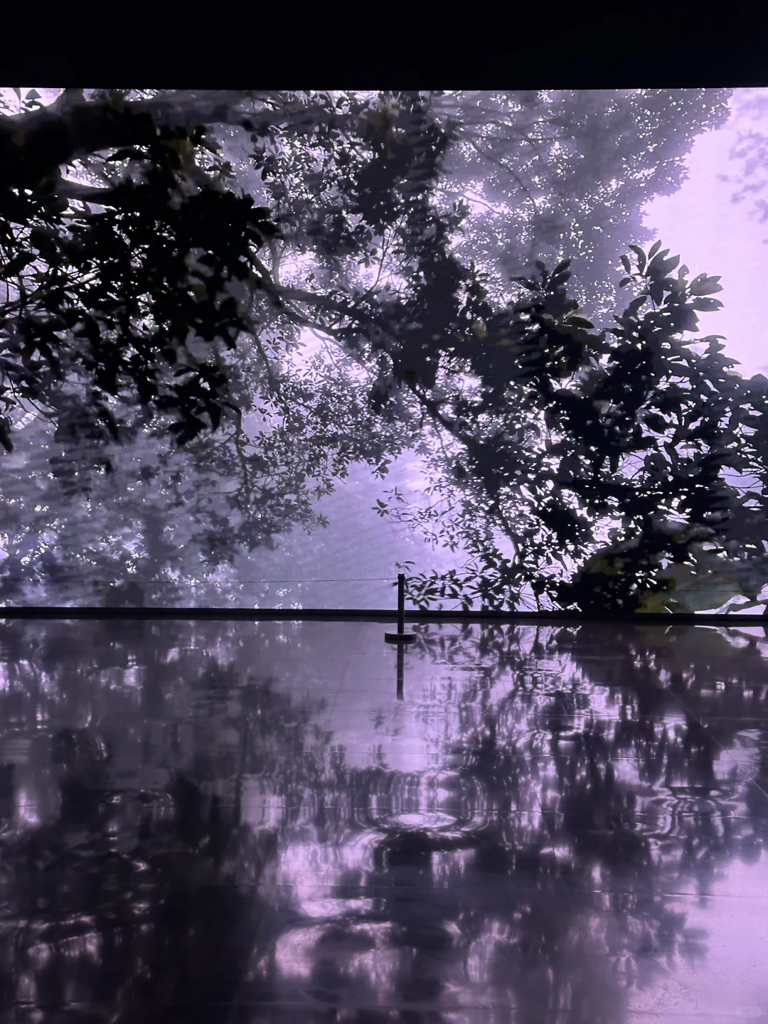 武汉双年展 | 艺术与浪漫永不落幕?