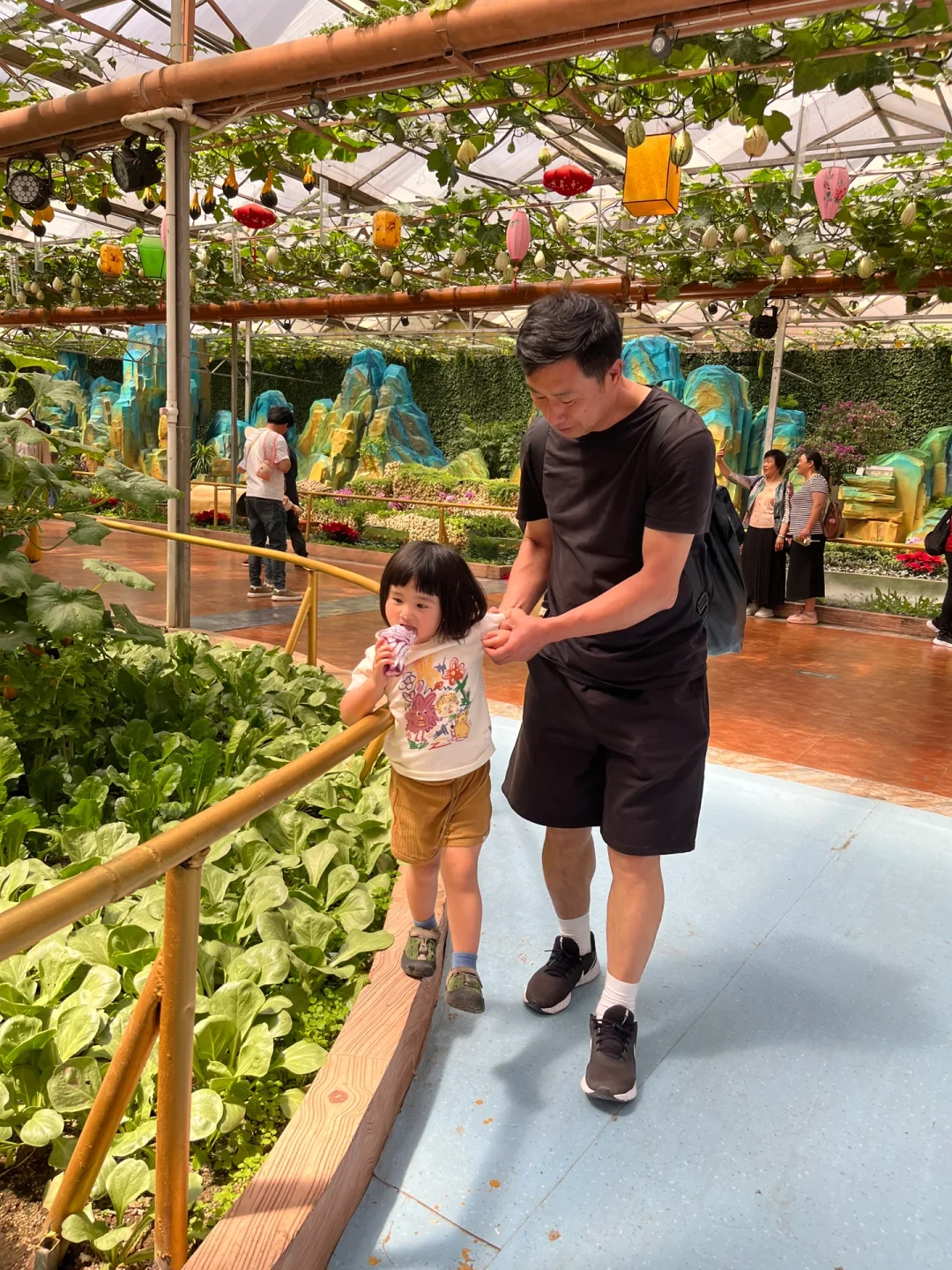 山东蔬菜博览会溜达一圈