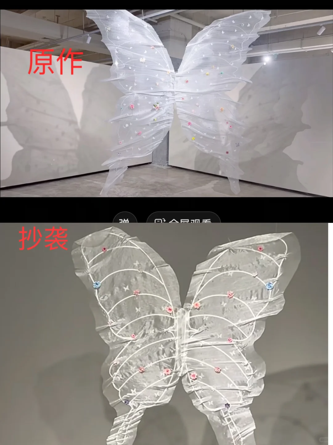 我们的展览又被抄袭了！沈阳蝴蝶展抄袭我