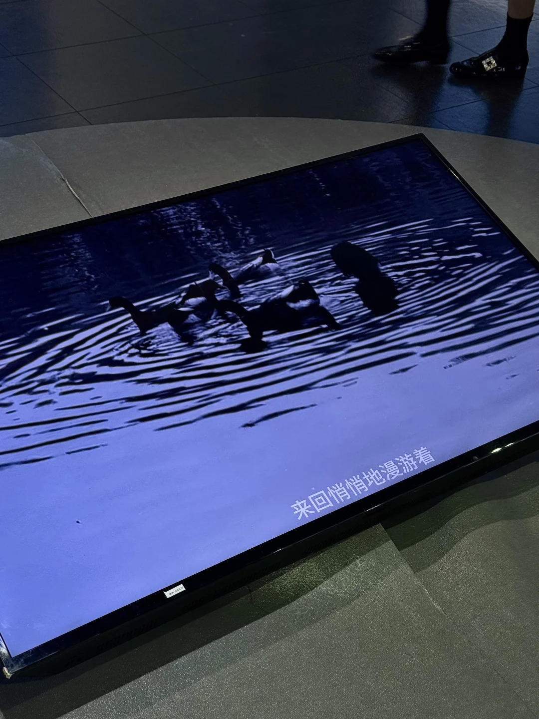 广州看展·东山湖展览| 我 blue 了?