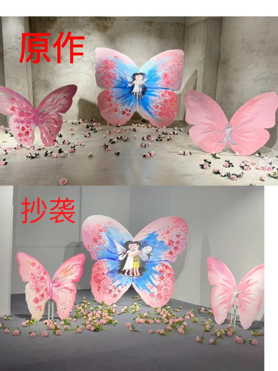 我们的展览又被抄袭了！沈阳蝴蝶展抄袭我