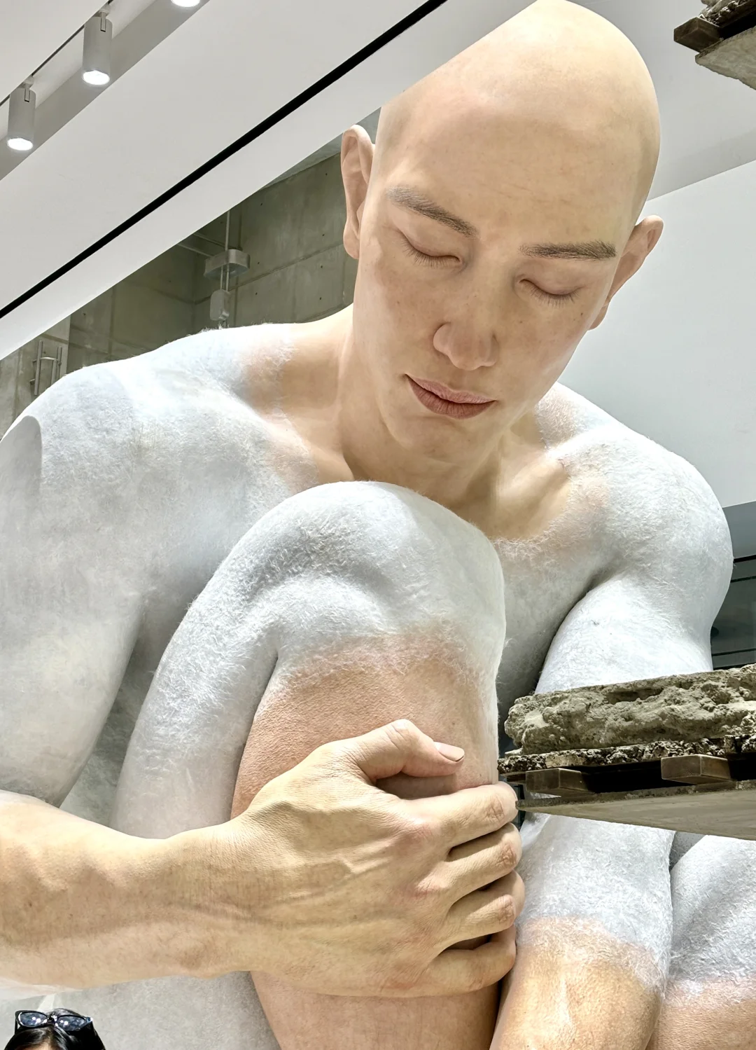 ?深圳巨人展震撼超乎想象?