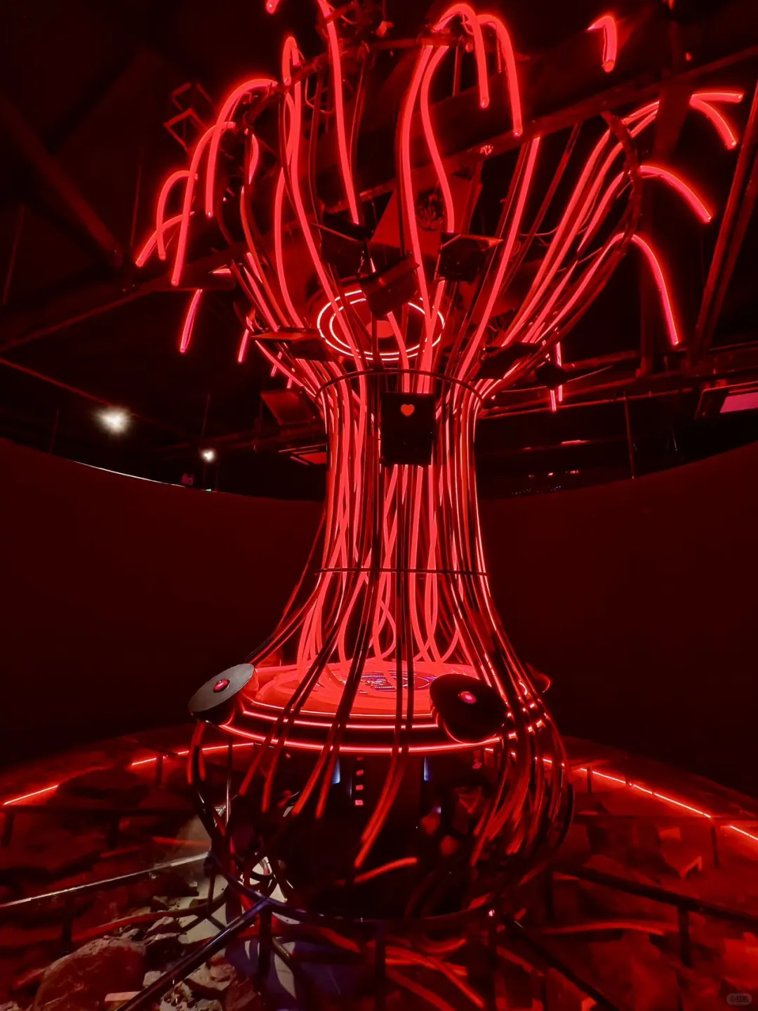 AI 时代人机关系大揭秘，798 见！