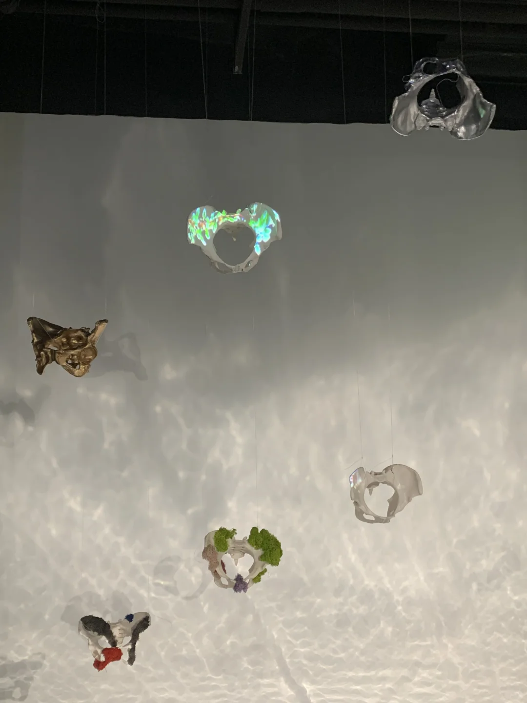 玩法超多沈阳新展11.7-12.7不用预约直接进