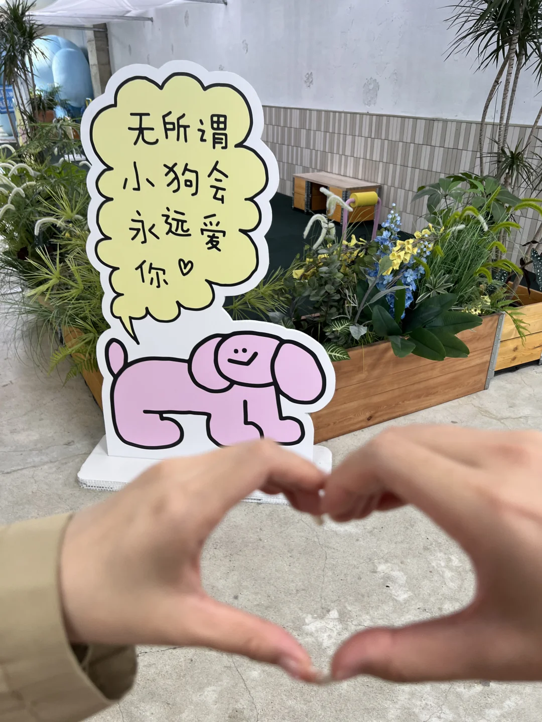 上海超可爱小狗展?丨看完真的不想工作了！